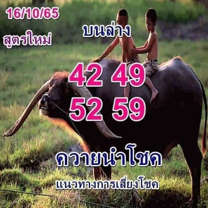 เลขดี หวยควายนำโชค16-10-65