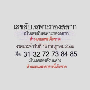 เลขลับเฉพาะกองสลาก 16-7-66